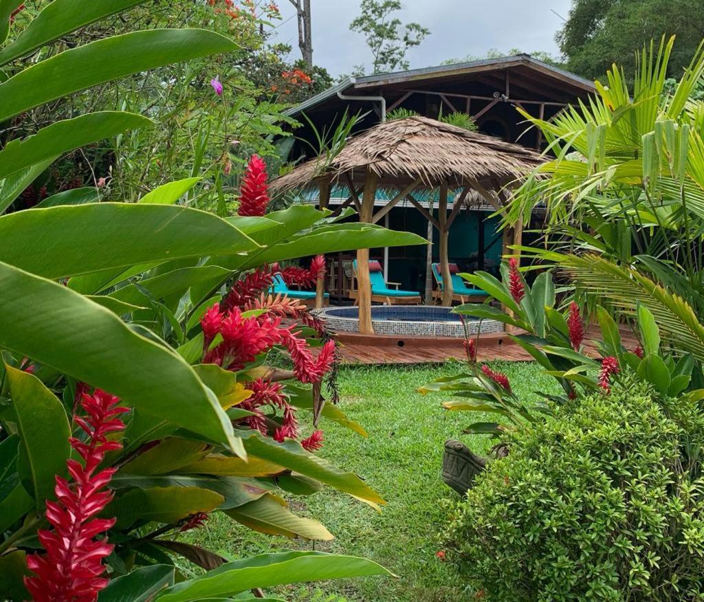 Casa Mambo Bed & Breakfast Кахуита Екстериор снимка
