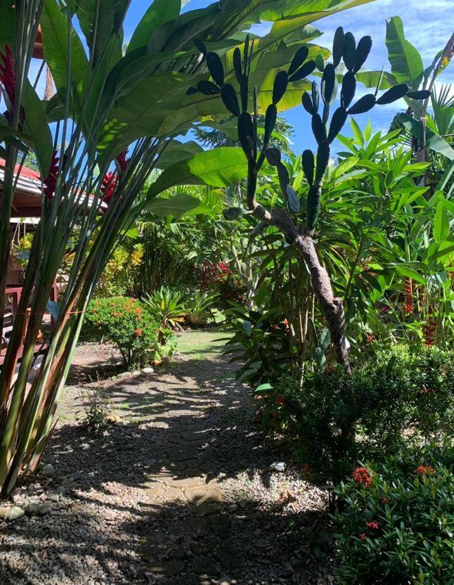 Casa Mambo Bed & Breakfast Кахуита Екстериор снимка